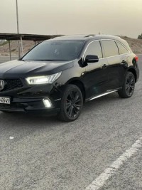 Curabitur finibus venenatis nisl, ornare sollicitudin