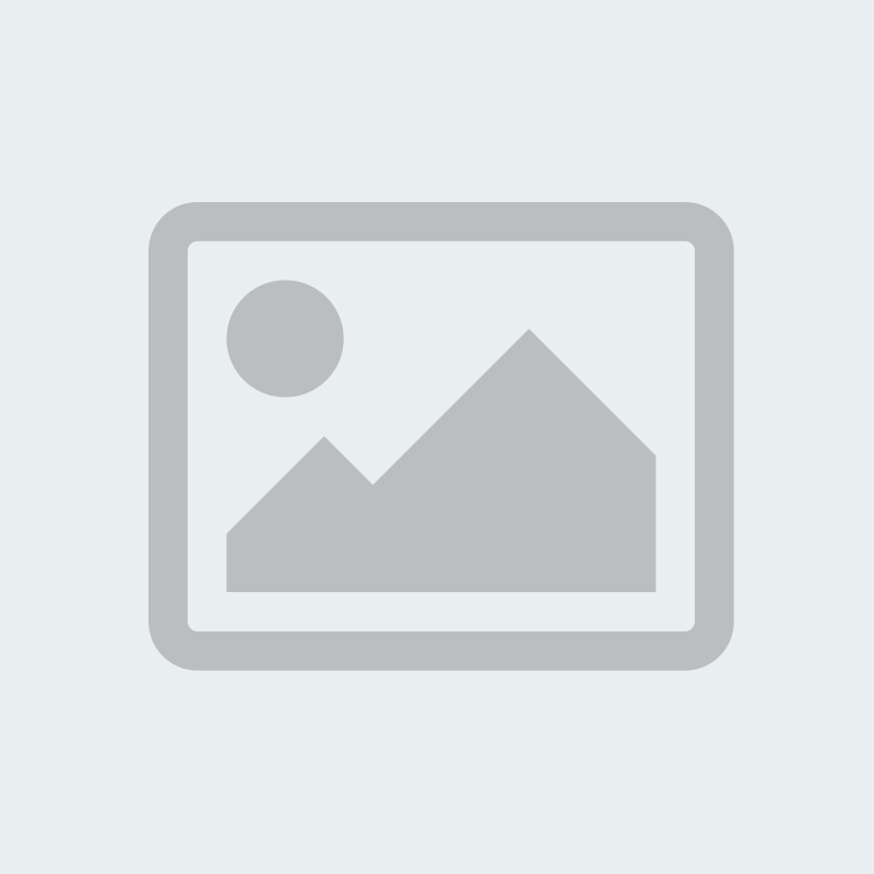 Pellentesque et neque elit. Morbi in viverra purus